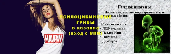 каннабис Алексеевка