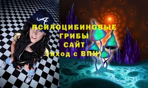 экстази Алексин