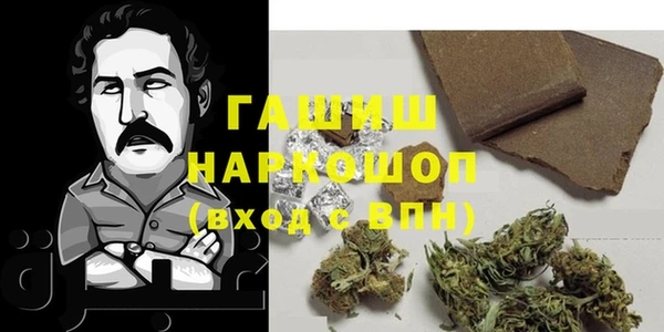 индика Абаза