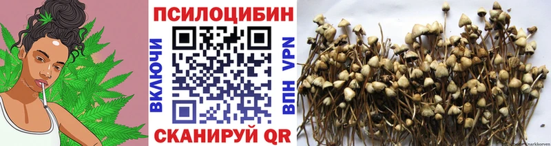 Псилоцибиновые грибы мухоморы закладки ссылка на мегу ТОР Опочка